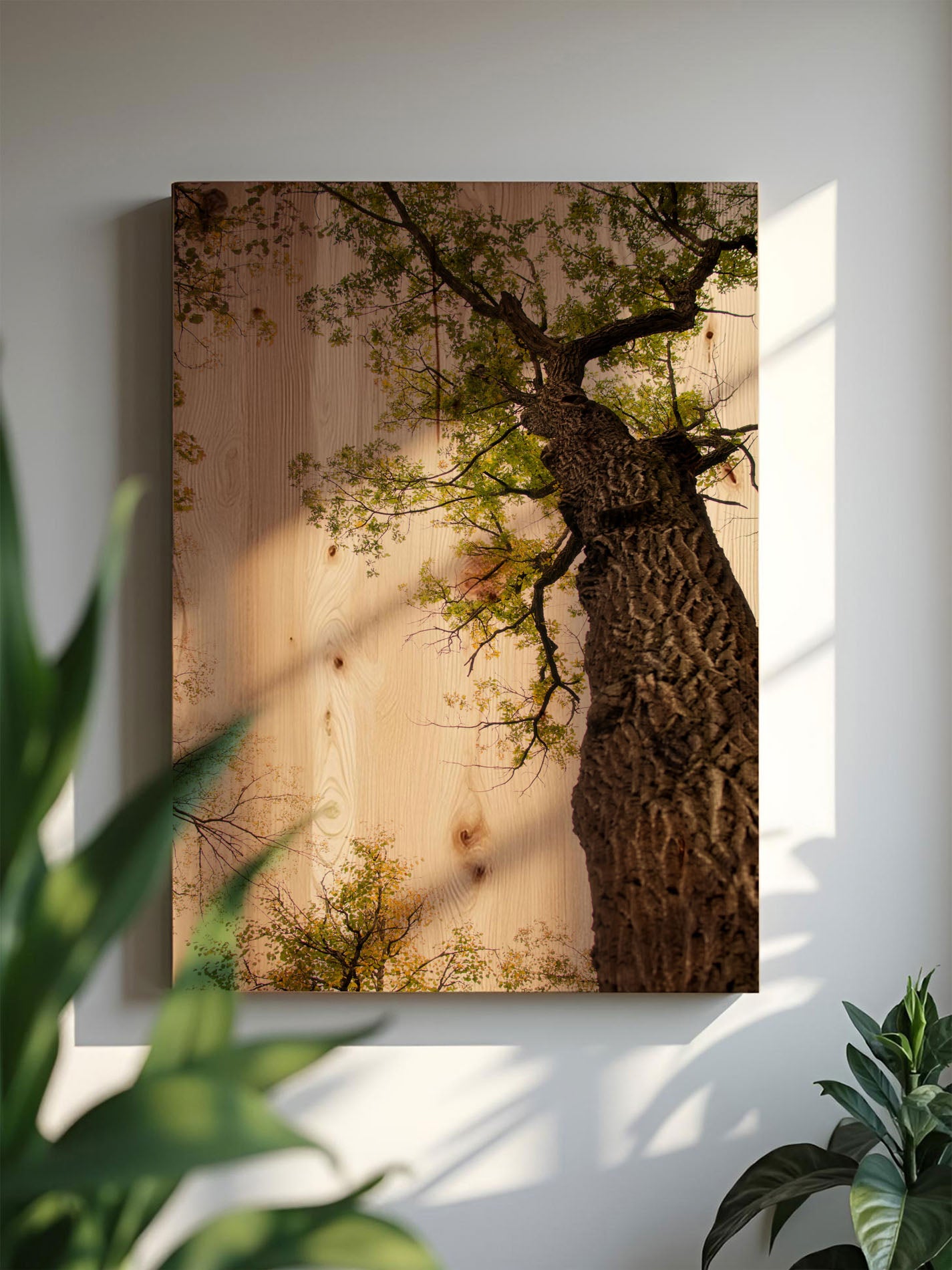 Baumseele – Holzbild von pura