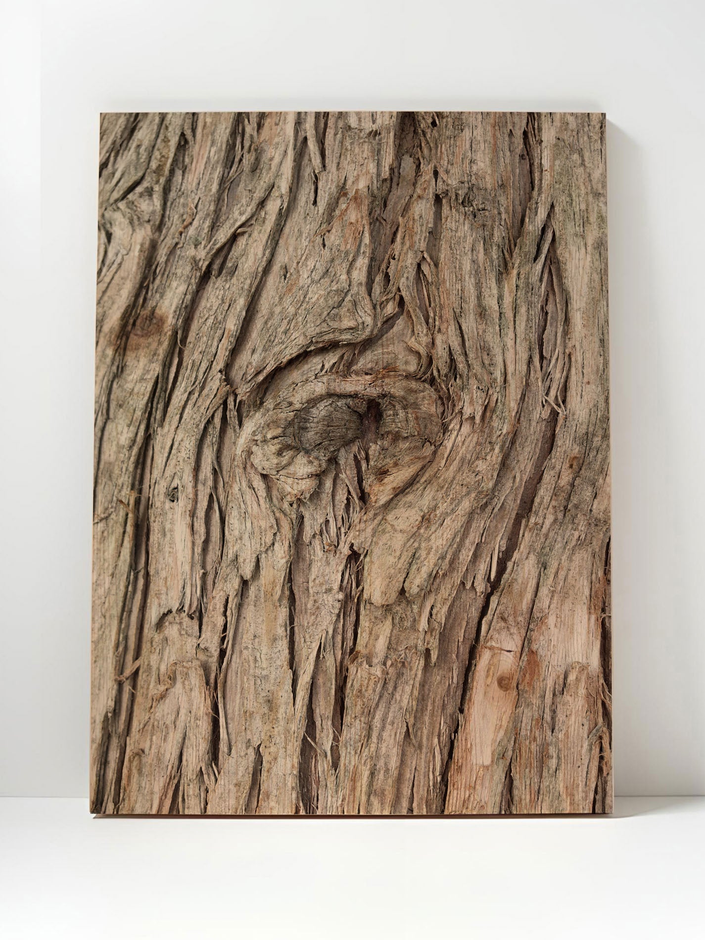 Baumchronik – Holzbild von pura
