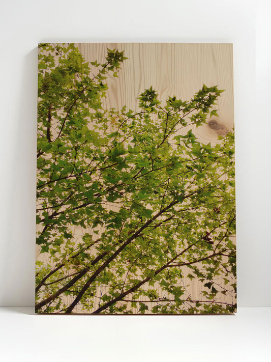 Klangast – Holzbild von pura