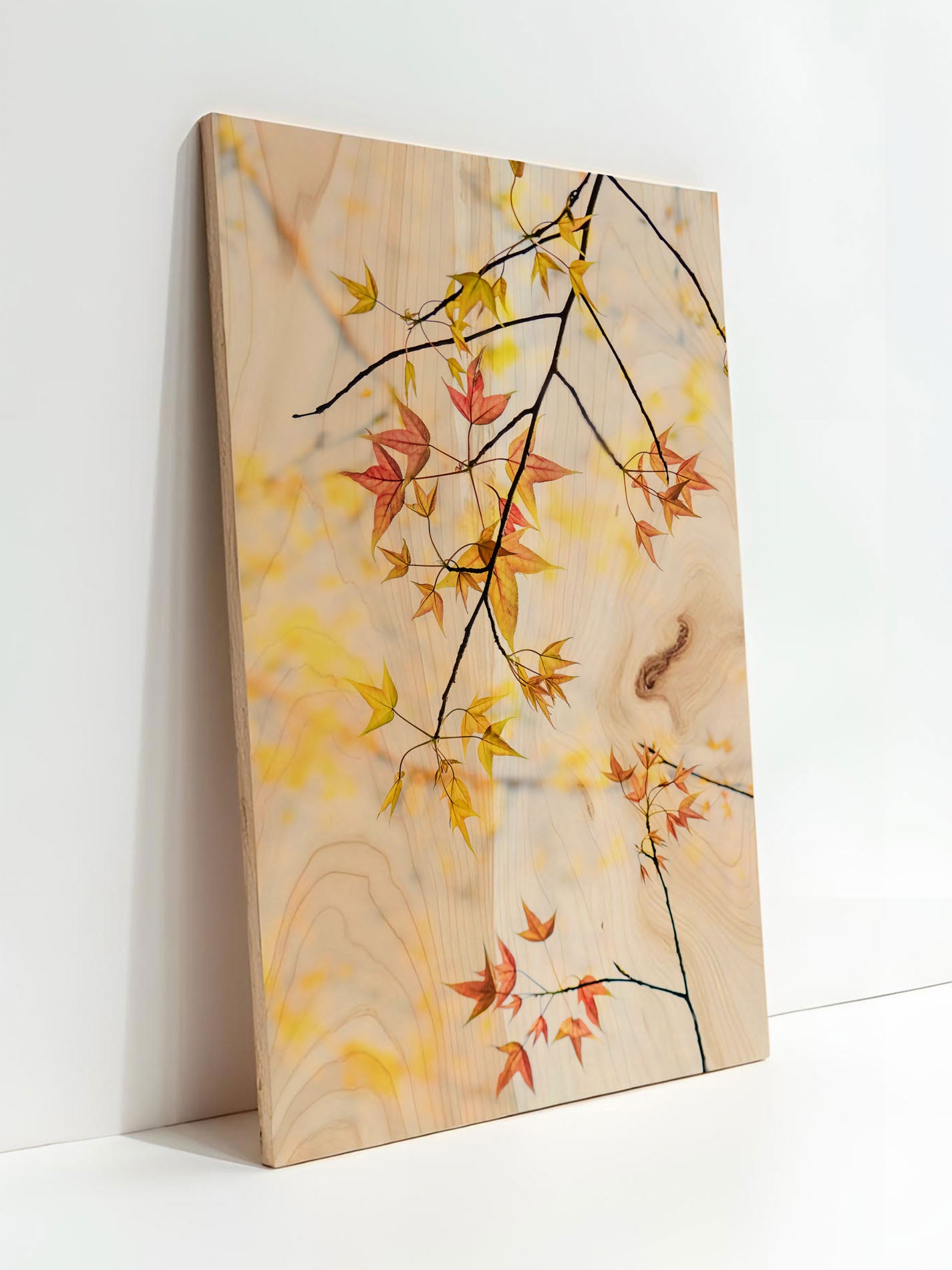 Astklang – Holzbild von pura
