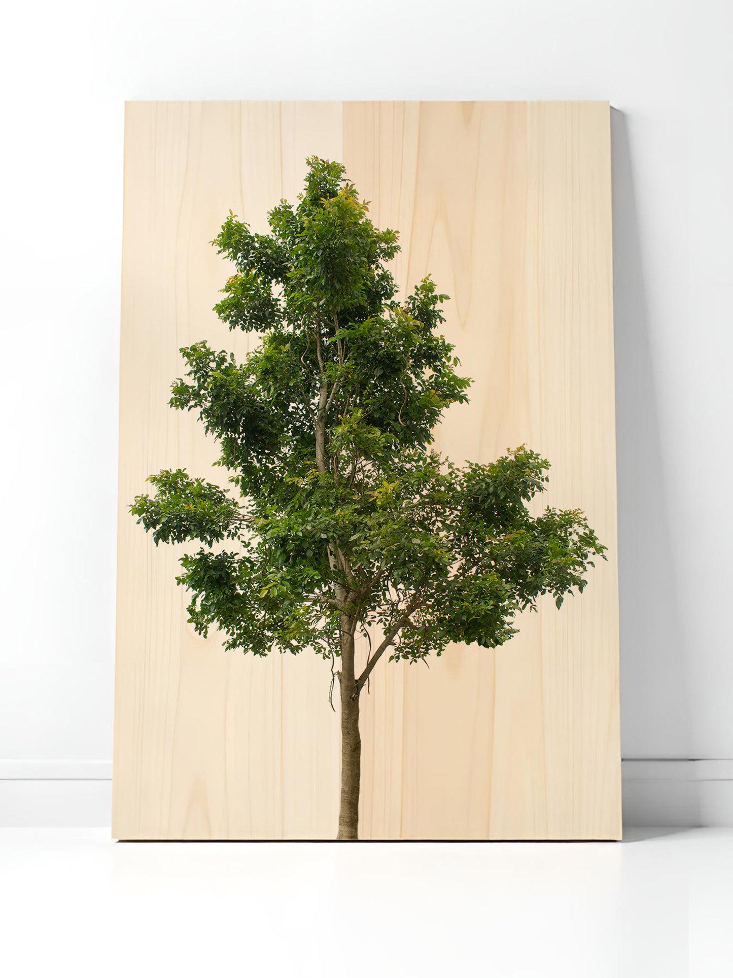 Waldklang – Holzbild von pura