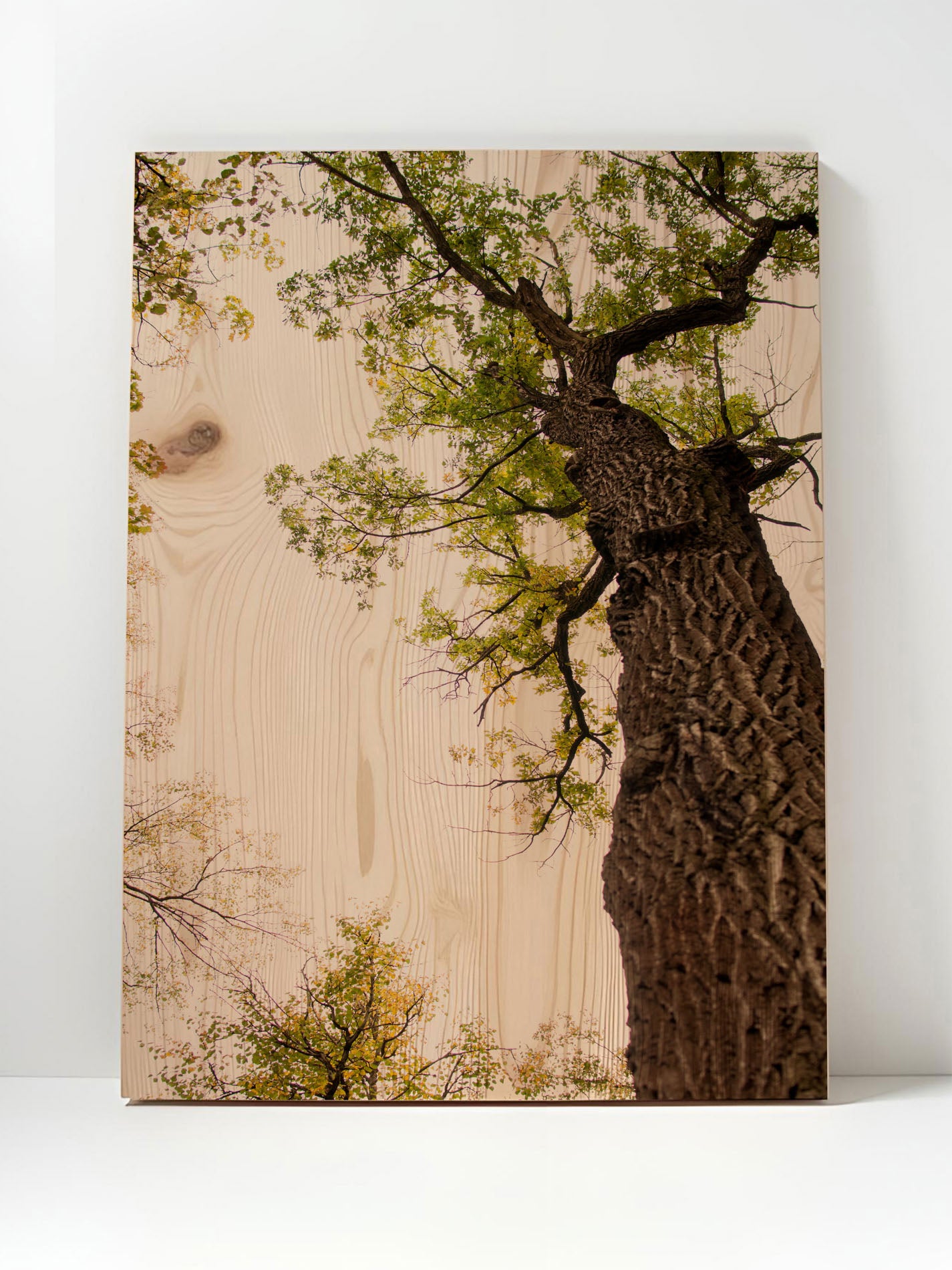 Baumseele – Holzbild von pura