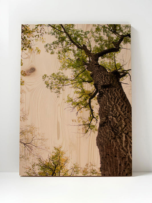 Baumseele – Holzbild von pura