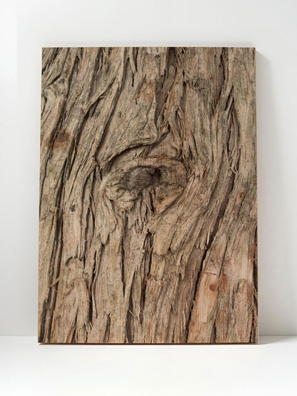 Baumchronik – Holzbild von pura