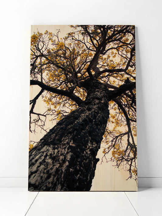 Zweigsinn – Holzbild von pura