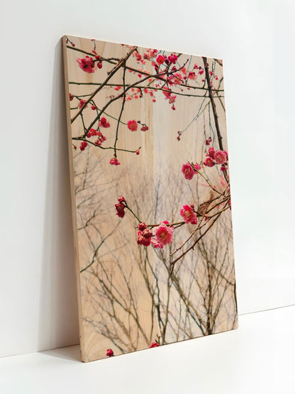 Himmelsblüte – Holzbild von pura