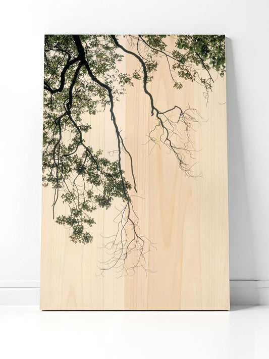 Dämmerzweig – Holzbild von pura