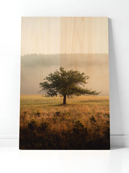 Morgenast – Holzbild von pura