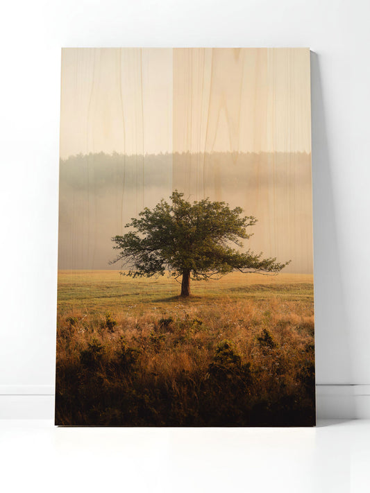 Morgenast – Holzbild von pura